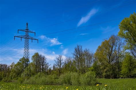 planting vegetable gardens under power lines